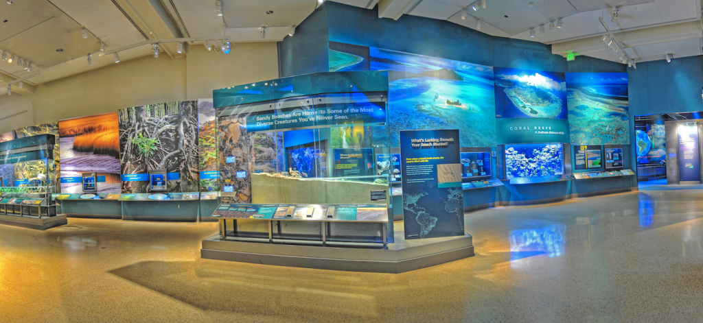 The Indo Pacific Coral Reef Aquarium located in the Sant Ocean