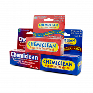 Chemiclean aquarium treatment in powder and liquid form – removes red, black, blue-green, and bubble-producing cyanobacteria stains in freshwater and saltwater aquariums.